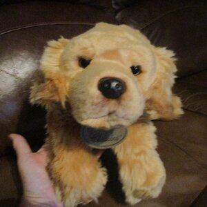 ⬇️❣️⬇️Yomiko Life Looking Golden Retriever/Lab